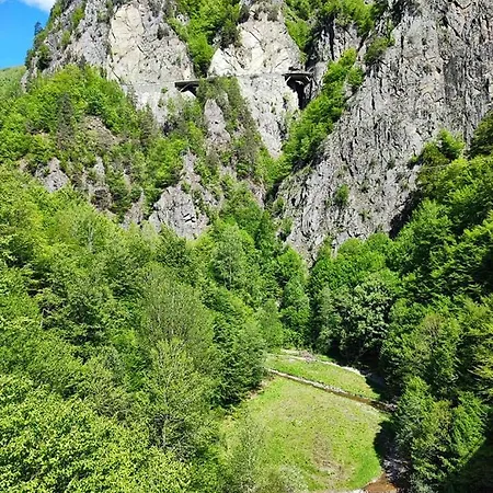 Dara * Cumpăna